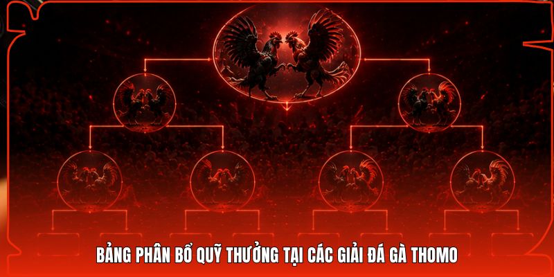 Bảng phân bổ quỹ thưởng tại các giải đá gà Thomo