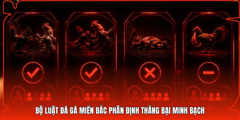 Bộ luật đá gà miền Bắc phân định thắng bại minh bạch