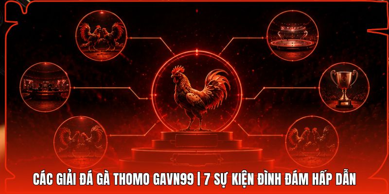Các Giải Đá Gà Thomo Gavn99 | 7 Sự Kiện Đình Đám Hấp Dẫn