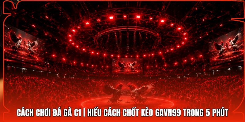 Cách Chơi Đá Gà C1 | Hiểu Cách Chốt Kèo Gavn99 Trong 5 Phút