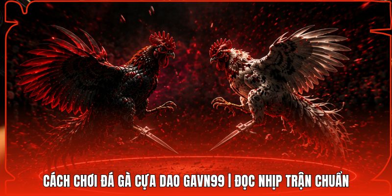 Cách Chơi Đá Gà Cựa Dao Gavn99 | Đọc Nhịp Trận Chuẩn