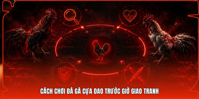 Cách chơi đá gà cựa dao trước giờ giao tranh