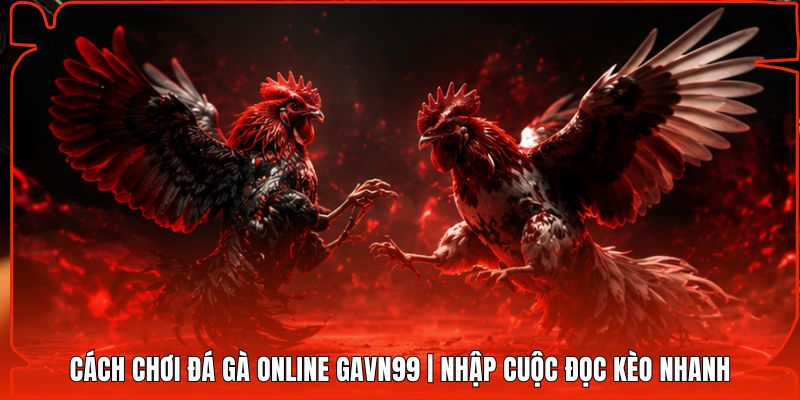 Cách Chơi Đá Gà Online Gavn99 | Nhập Cuộc Đọc Kèo Nhanh