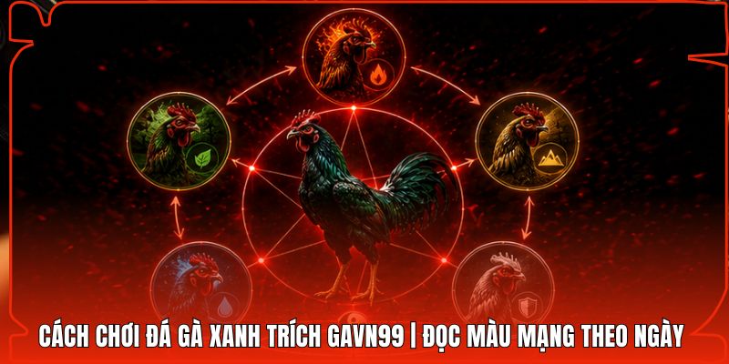 Cách Chơi Đá Gà Xanh Trích Gavn99 | Đọc Màu Mạng Theo Ngày