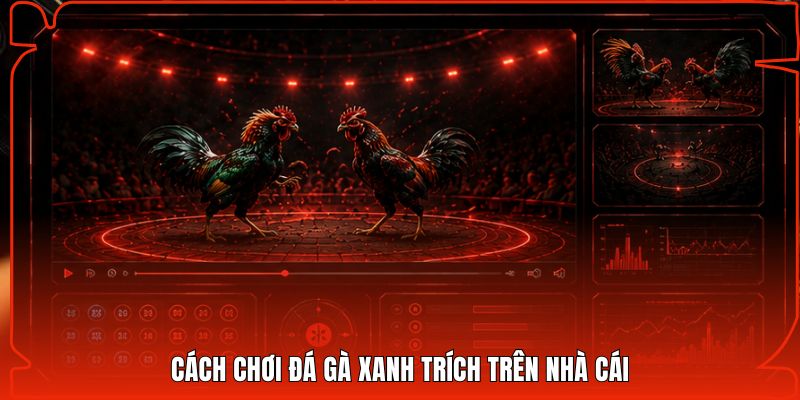 Cách chơi đá gà xanh trích trên nhà cái