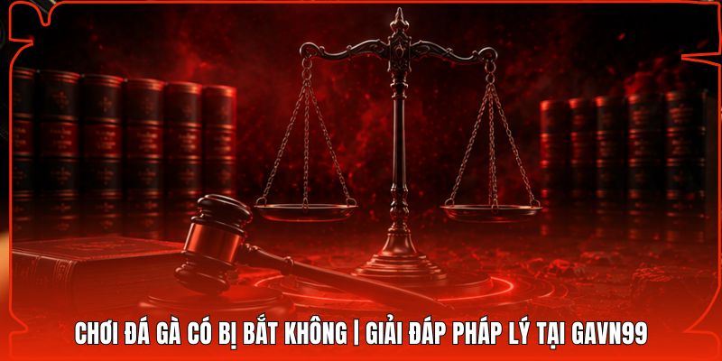 Chơi Đá Gà Có Bị Bắt Không | Giải Đáp Pháp Lý Tại Gavn99