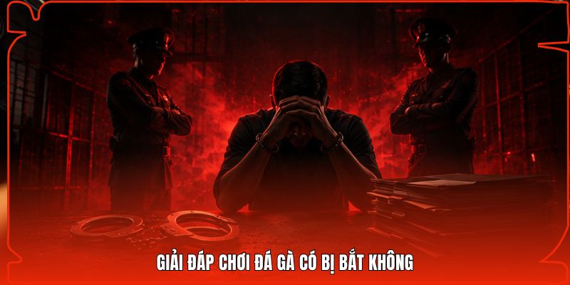 Giải đáp chơi đá gà có bị bắt không