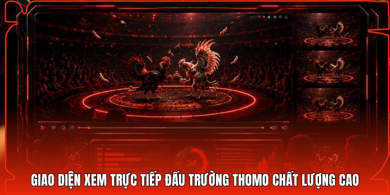 Giao diện xem trực tiếp đấu trường Thomo chất lượng cao