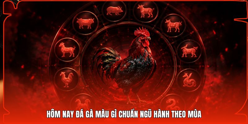 Hôm nay đá gà màu gì chuẩn ngũ hành theo mùa