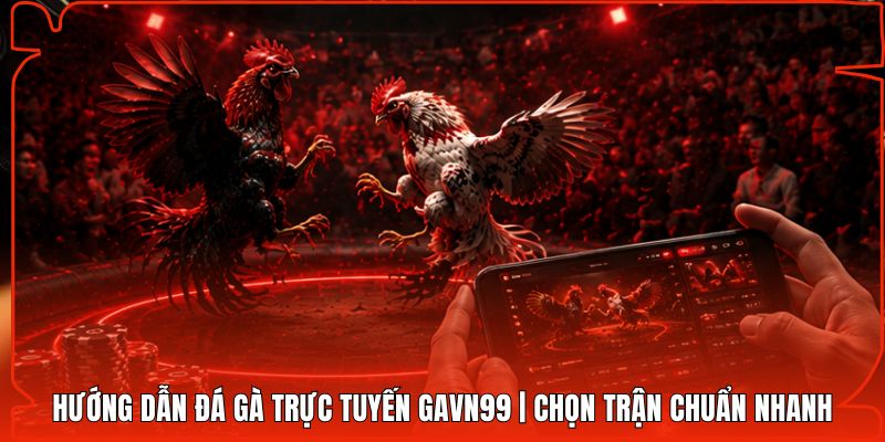 Hướng Dẫn Đá Gà Trực Tuyến Gavn99 | Chọn Trận Chuẩn Nhanh