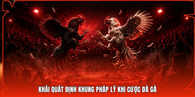 Khái quát định khung pháp lý khi cược đá gà