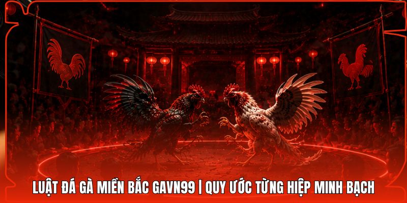 Luật Đá Gà Miền Bắc Gavn99 | Quy Ước Từng Hiệp Minh Bạch