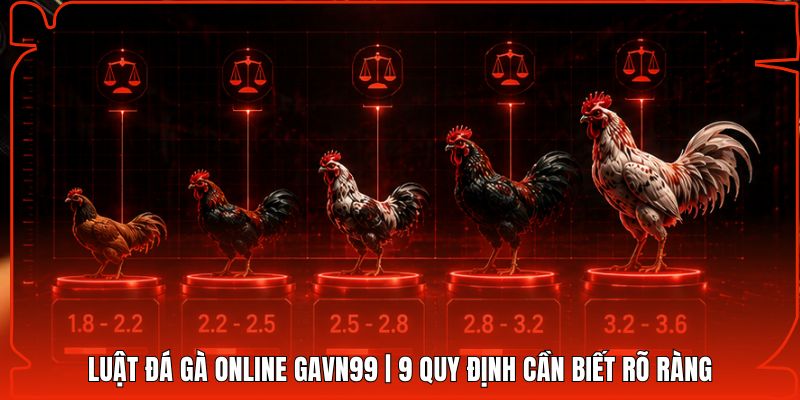 Luật Đá Gà Online Gavn99 | 9 Quy Định Cần Biết Rõ Ràng