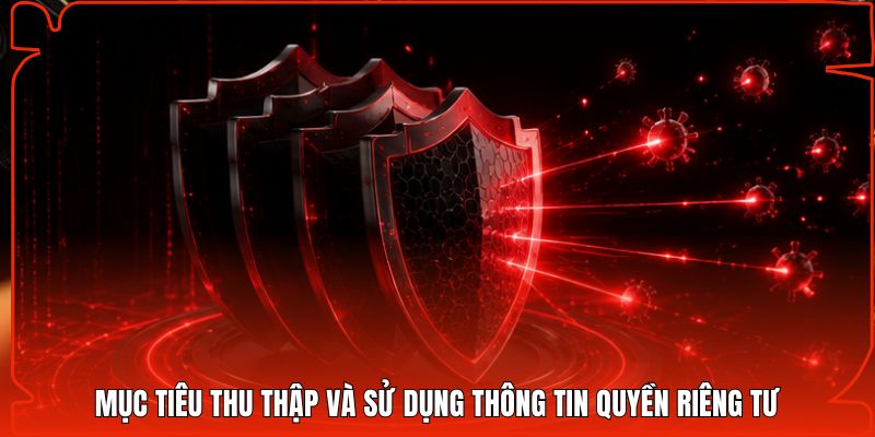 Mục tiêu thu thập và sử dụng thông tin quyền riêng tư