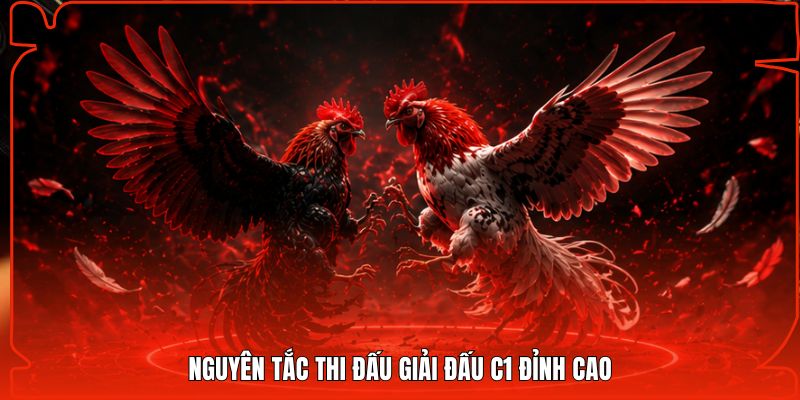 Nguyên tắc thi đấu giải đấu C1 đỉnh cao