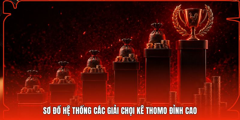 Sơ đồ hệ thống các giải chọi kê Thomo đỉnh cao