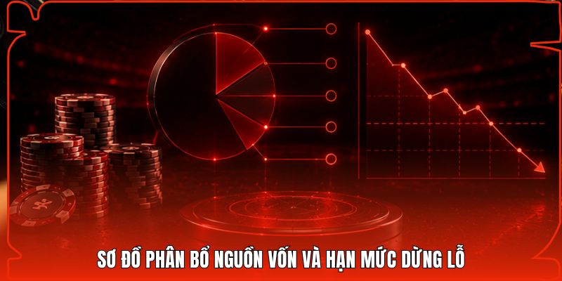 Sơ đồ phân bổ nguồn vốn và hạn mức dừng lỗ