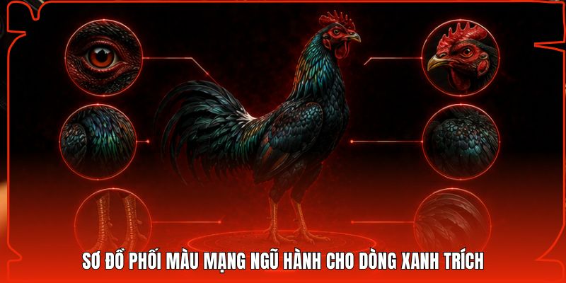 Sơ đồ phối màu mạng Ngũ Hành cho dòng xanh trích