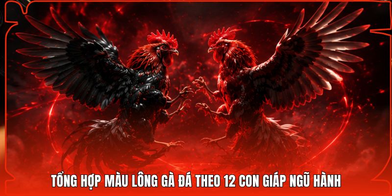 Tổng hợp màu lông gà đá theo 12 con giáp Ngũ Hành