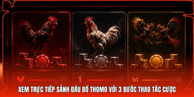 Xem trực tiếp sảnh đấu Bồ Thomo với 3 bước thao tác cược